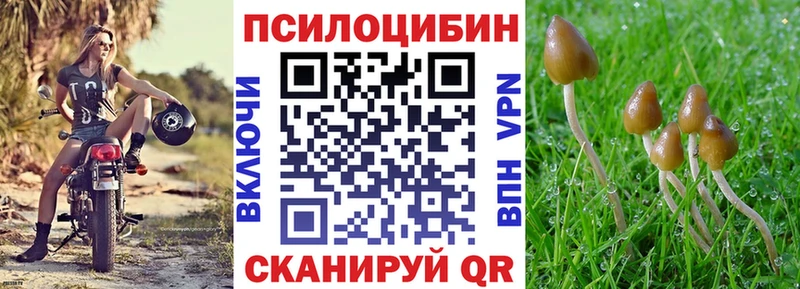 Галлюциногенные грибы Psilocybe  Купить где  Тольятти 